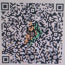 UPI QR code to donate